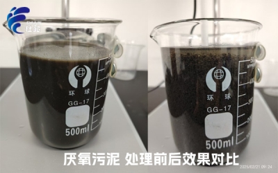 SJC-08型號(hào)的污泥增效劑成功"解鎖"厭氧污泥脫水難的問題-青島仕駿