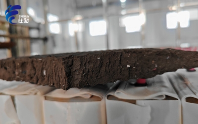 污泥增效劑助力環(huán)保事業(yè)，提高脫水效率、縮短周期-青島仕駿