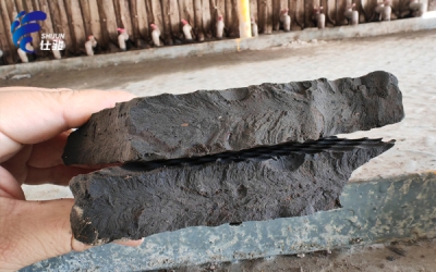 有機質含量高時使用污泥增效劑效果如何-青島仕駿