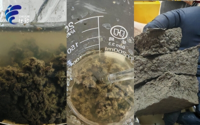 污泥脫水不用反復試錯！青島仕駿免費上門 + 定制方案一步到位