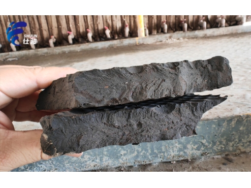 為什么污泥壓濾機壓不干且稀，還粘濾布？-青島仕駿