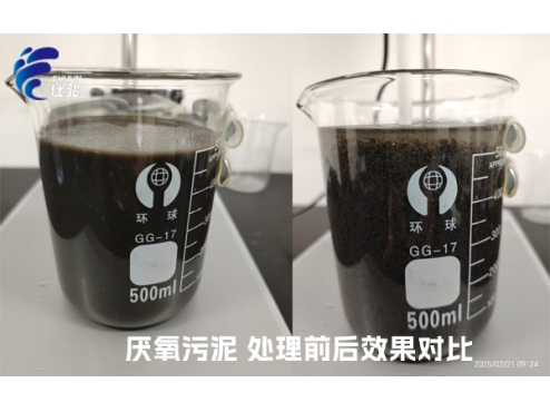 SJC-08型號(hào)的污泥增效劑成功"解鎖"厭氧污泥脫水難的問題-青島仕駿