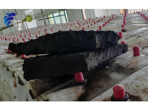 仕駿污泥增效劑：污泥調(diào)理技術(shù)的革新突破-青島仕駿