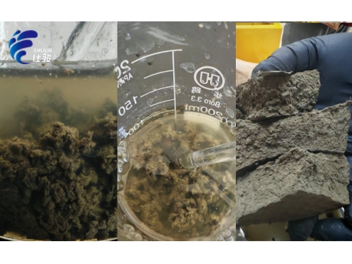 污泥脫水不用反復試錯！青島仕駿免費上門 + 定制方案一步到位