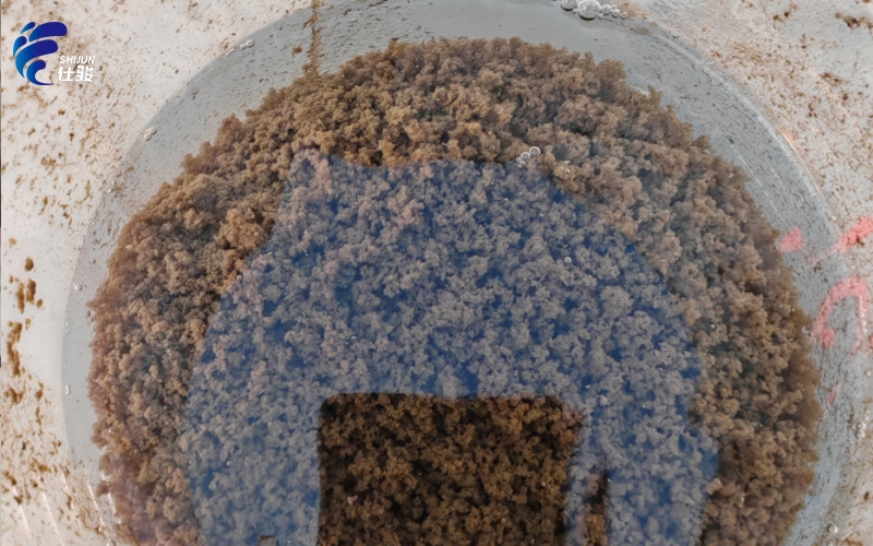 污泥增效劑用于市政污泥調理